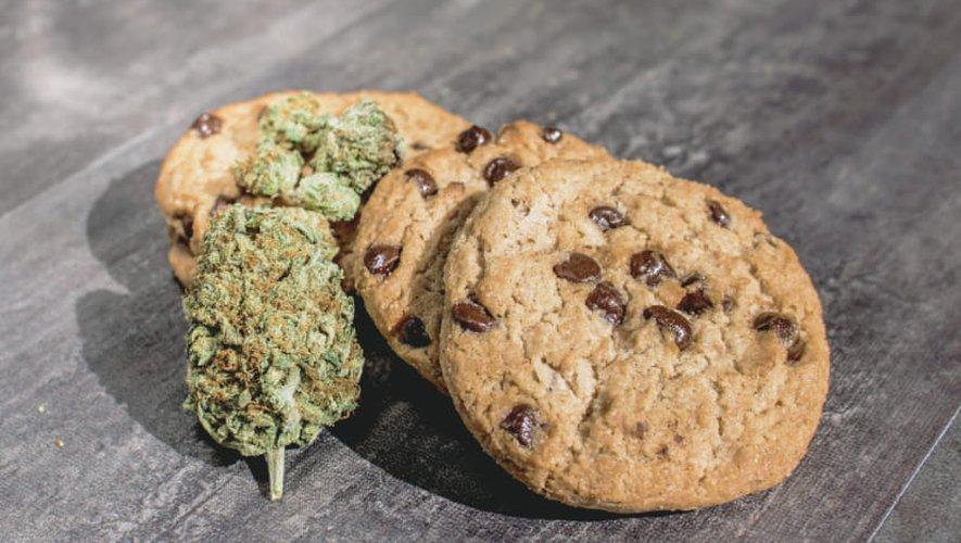 Parents et grands-parents confectionnent des cookies au cannabis, le repas de famille finit à l’hôpital