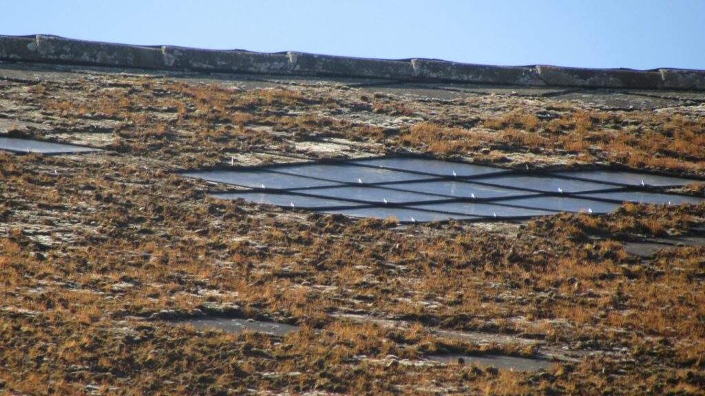 Ils signent un devis à 17 000 euros pour un démoussage de toiture, la gendarmerie intervient