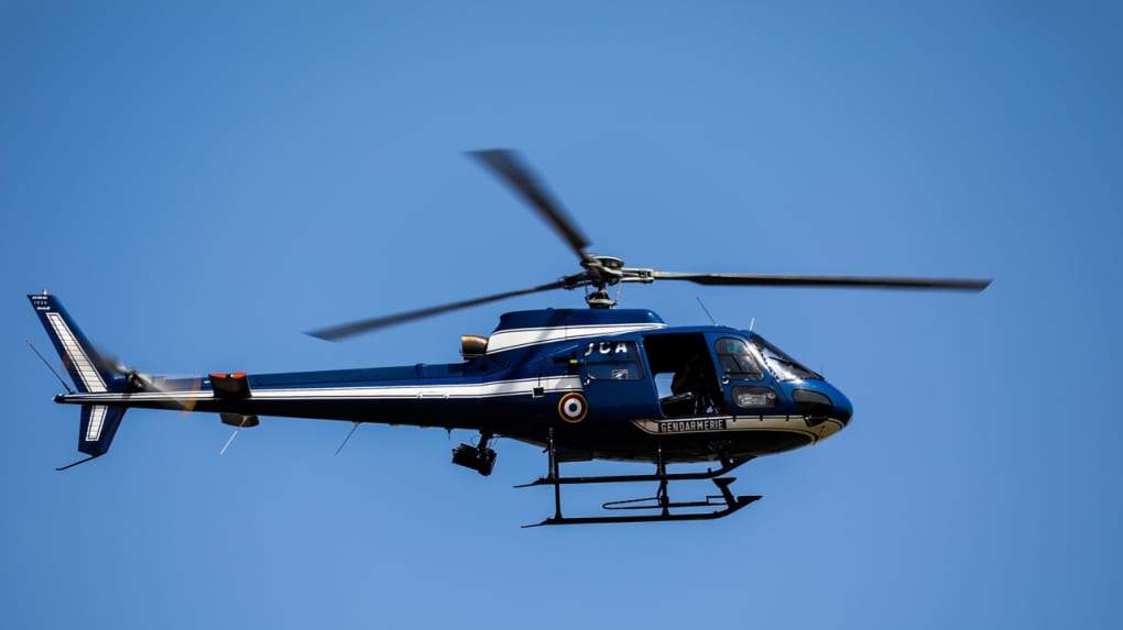 Deux-Sèvres : fuyant les gendarmes en forêt de Chizé, ils tombent en pleine battue