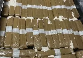 Saisie de drogue