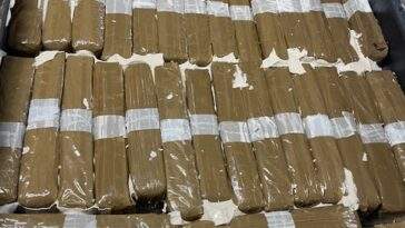 Saisie de drogue