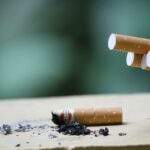 close up photo of cigarette ashes
