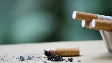 close up photo of cigarette ashes