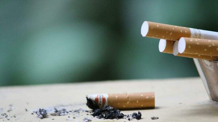 close up photo of cigarette ashes