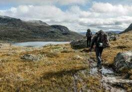 exploration and mountain climbing