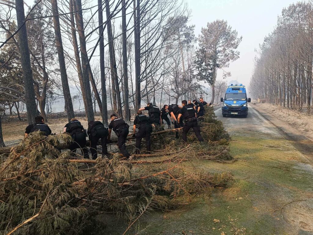 Incendies en Gironde : des gendarmes dégagent des arbres tombés afin de rouvrir une route et permettre la progression des secours.