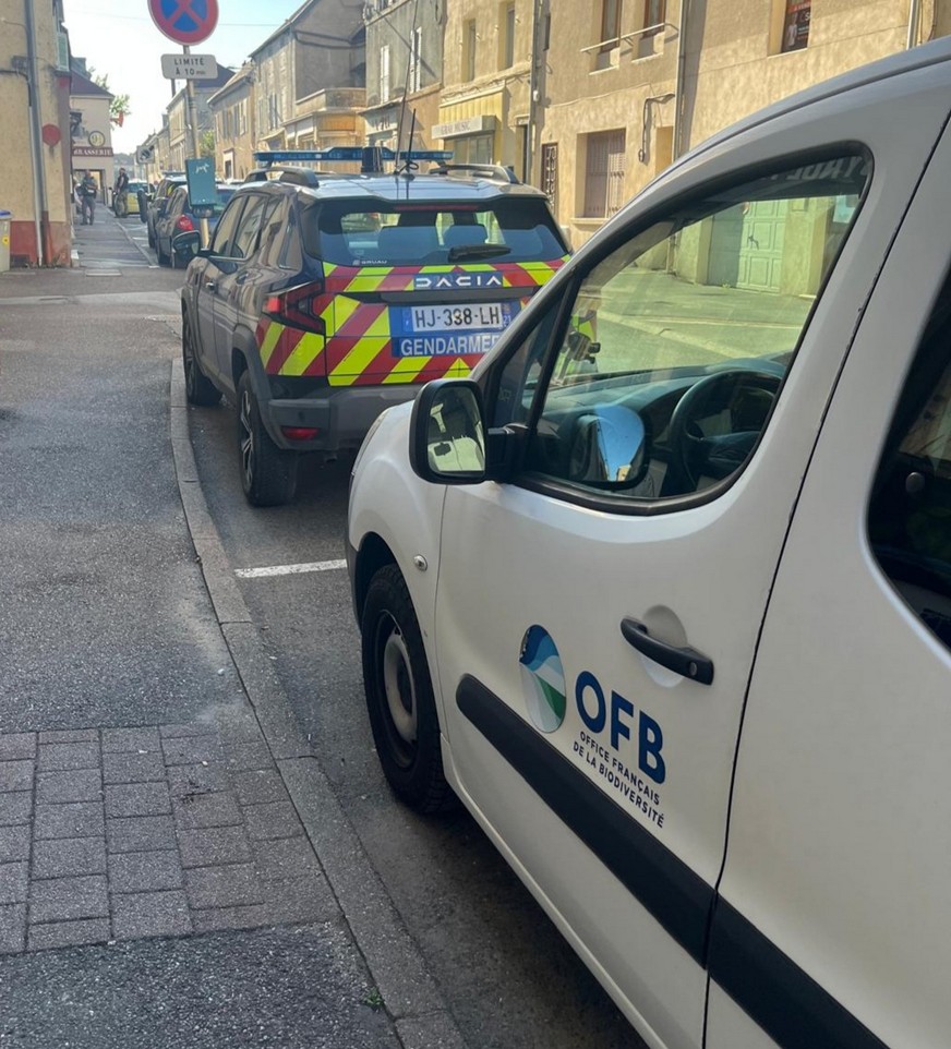 Véhicules de la Gendarmerie nationale et de l’OFB lors de l’opération à Gray