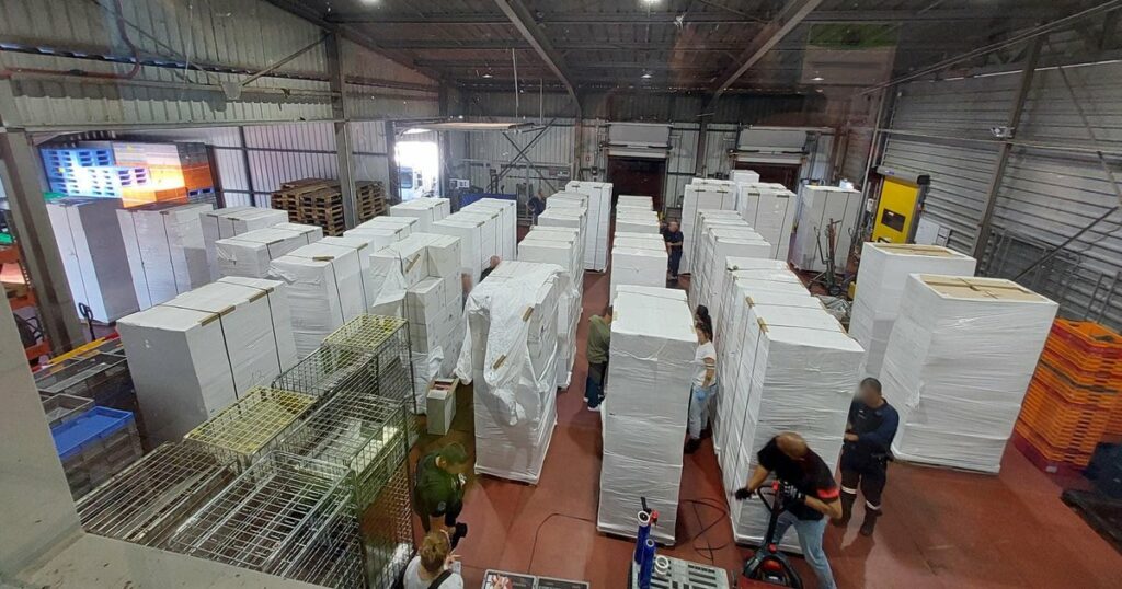 Allier : neuf tonnes de cigarettes saisies par les gendarmes et la DNRED Vue d’ensemble des palettes de cigarettes saisies dans l’Allier lors de l’opération de la SR d’Orléans et de la DNRED du 25 septembre 2026