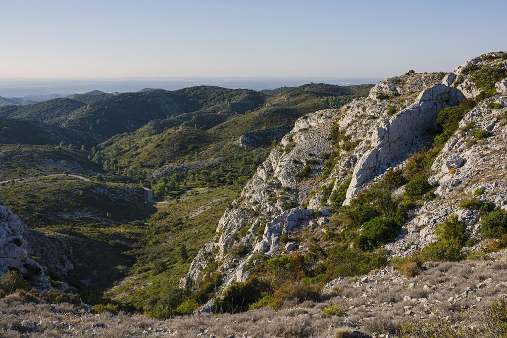 Alpilles : un contrôle routier débouche sur près de 3 kg de stupéfiants saisis Crêtes calcaires et végétation des Alpilles à Saint-Rémy-de-Provence.