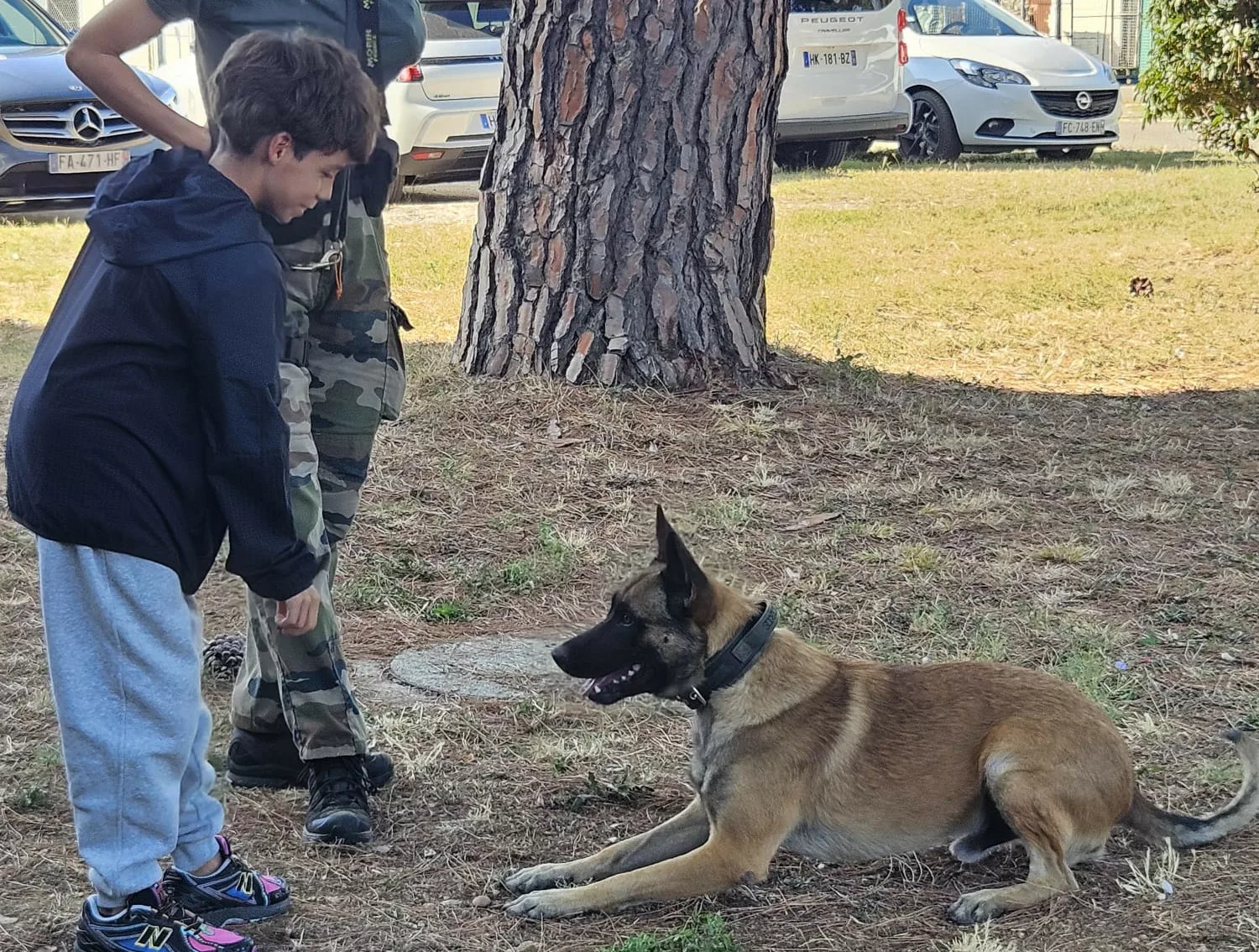 Un enfant découvre le travail d’une équipe cynophile de la gendarmerie de l’Hérault lors du séjour des Petits Bleus en septembre 2026.