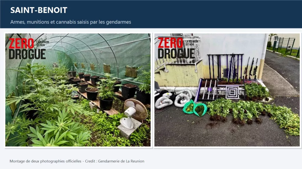 Montage de deux photographies officielles montrant les armes, les munitions, le matériel de culture et le cannabis saisis par les gendarmes à Saint-Benoît le 3 octobre 2026.